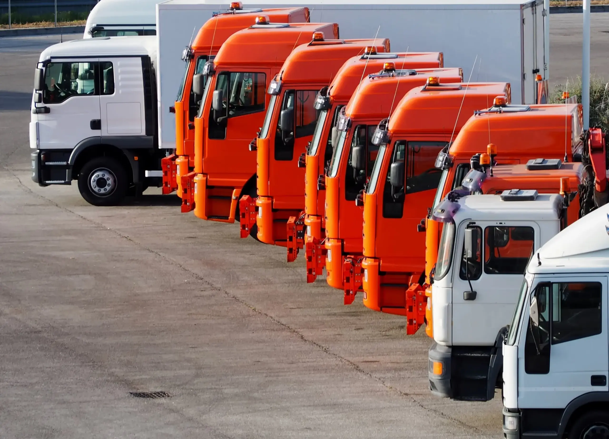 trucks lined up side by side. 