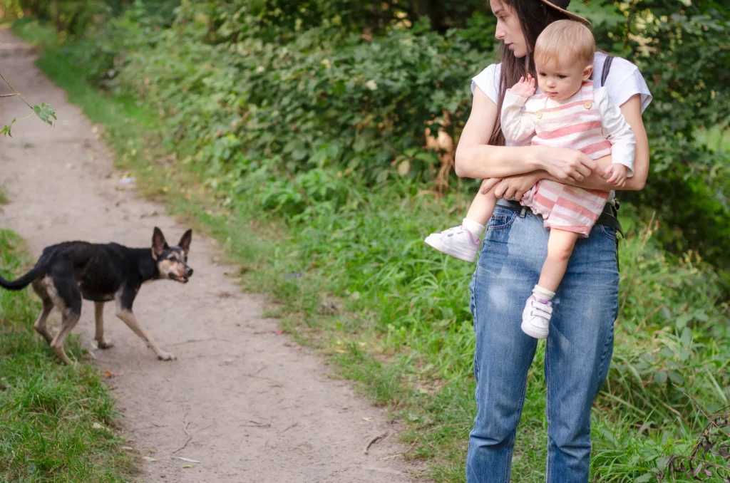 A woman protecting her baby from an aggressive looking dog.